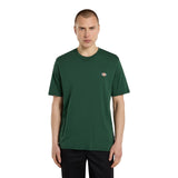 T-shirt Uomo Dickies - Ss Mapleton T-Shirt - Verde