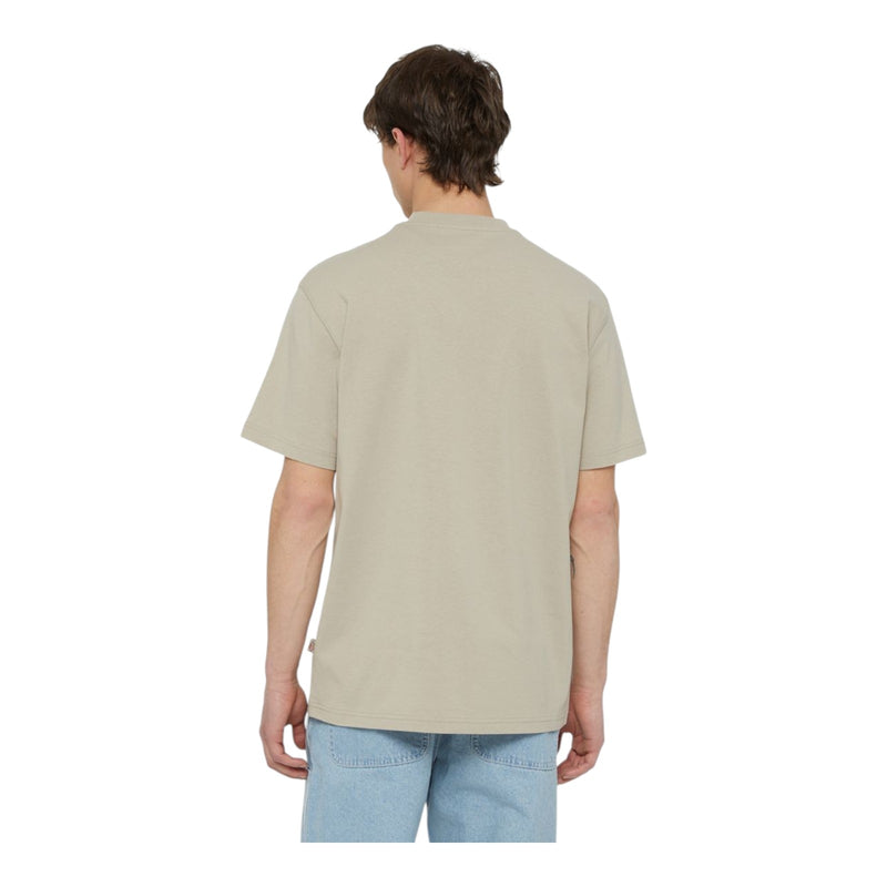T-shirt Uomo Dickies - Summerdale Ss Tee - Beige