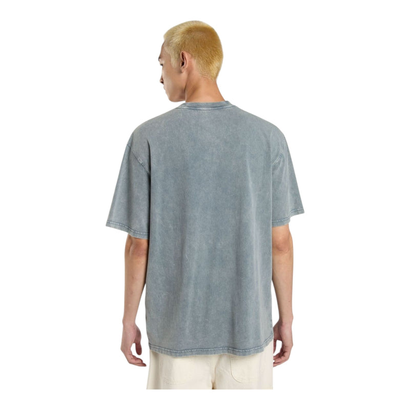 T-shirt Uomo Dickies - Plentywood Tee Ss - Azzurro