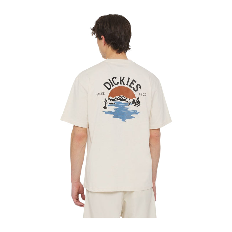 T-shirt Uomo Dickies - Beach Tee Ss Whitecap - Beige