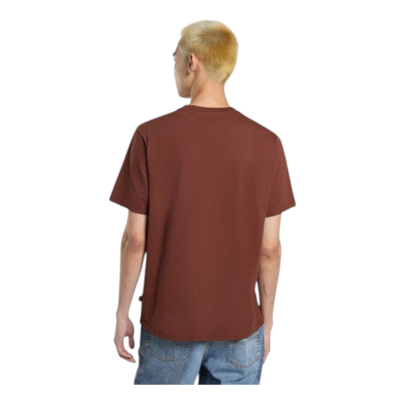 T-shirt Uomo Dickies - Ss Mapleton T-Shirt - Marrone