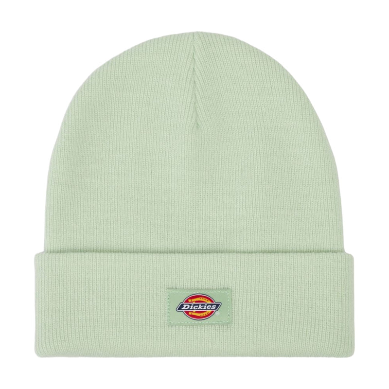 Baschi e berretti Uomo Dickies - Gibsland Beanie - Verde