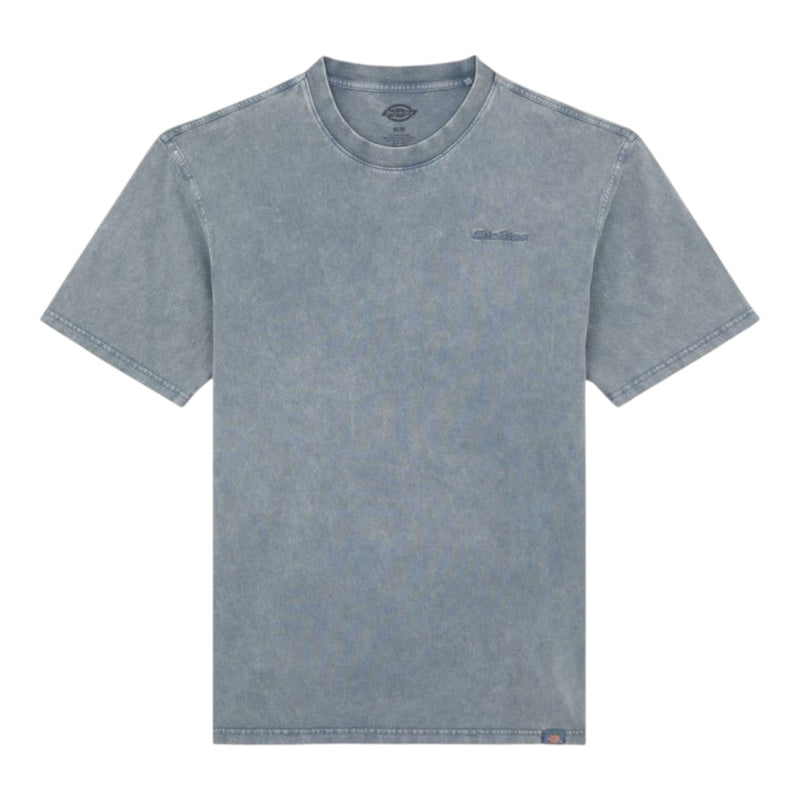 T-shirt Uomo Dickies - Plentywood Tee Ss - Azzurro