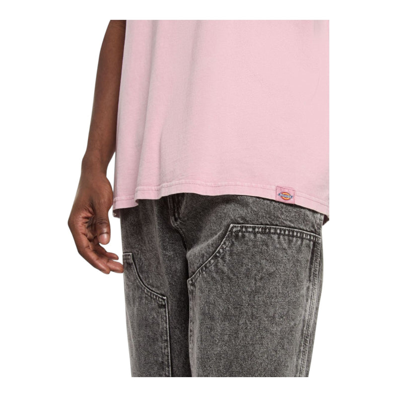 T-shirt Uomo Dickies - Plentywood Tee Ss - Lilla
