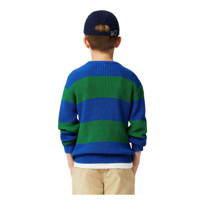 Maglioni Ragazzo Lacoste - Pullover - Multicolore