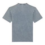 T-shirt Uomo Dickies - Plentywood Tee Ss - Azzurro