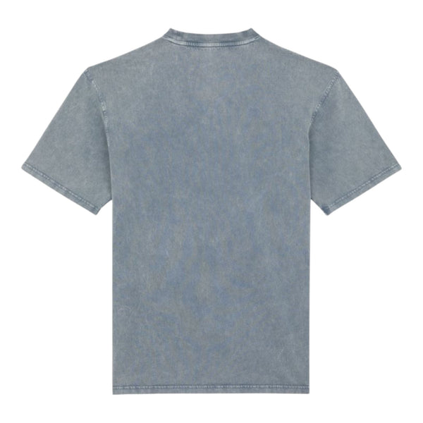 T-shirt Uomo Dickies - Plentywood Tee Ss - Azzurro