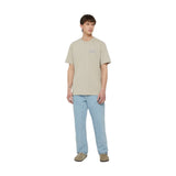 T-shirt Uomo Dickies - Aitkin Chest Tee Ss - Beige