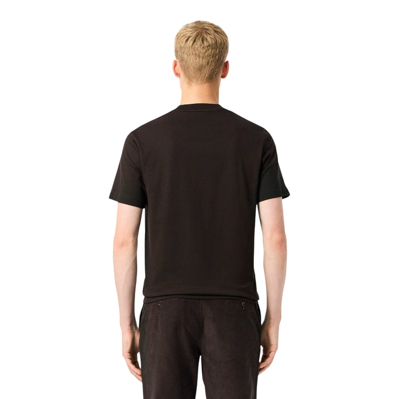 T-shirt Uomo Lacoste - T-Shirt - Marrone