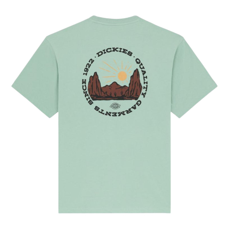 T-shirt Uomo Dickies - Dickies Snake Ss Tee - Menta