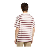 T-shirt Uomo Dickies - York Stripe Tee Ss Egret - Beige