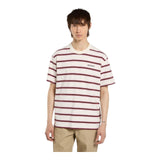 T-shirt Uomo Dickies - York Stripe Tee Ss Egret - Beige