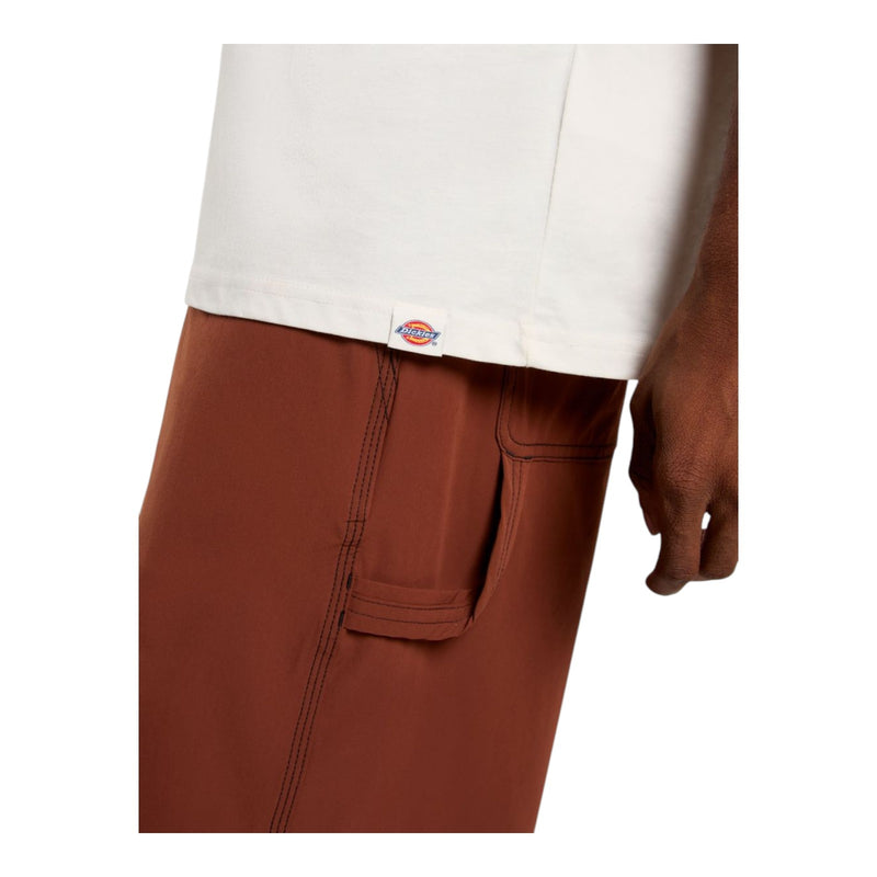 T-shirt Uomo Dickies - Landascape Ss Tee - Bianco