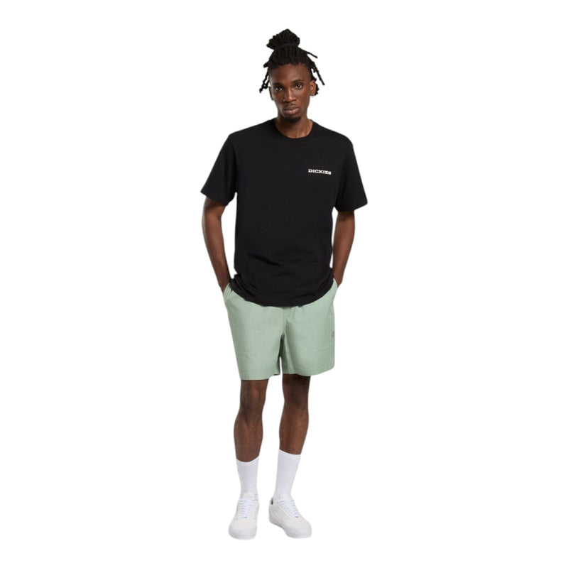T-shirt Uomo Dickies - Landascape Ss Tee - Nero