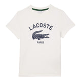 T-shirt Ragazzo Lacoste - T-Shirt - Bianco