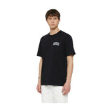 T-shirt Uomo Dickies - Aitkin Chest Tee Ss - Nero