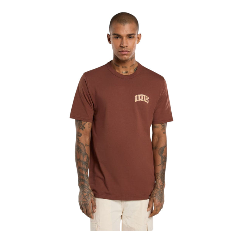 T-shirt Uomo Dickies - Aitkin Chest Tee Ss - Marrone