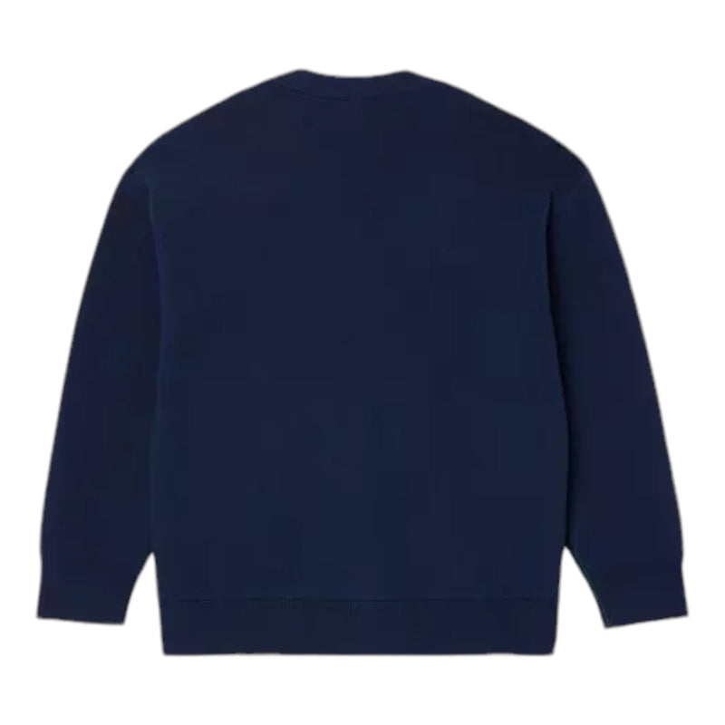 Maglioni Ragazzo Lacoste - Pullover - Blu