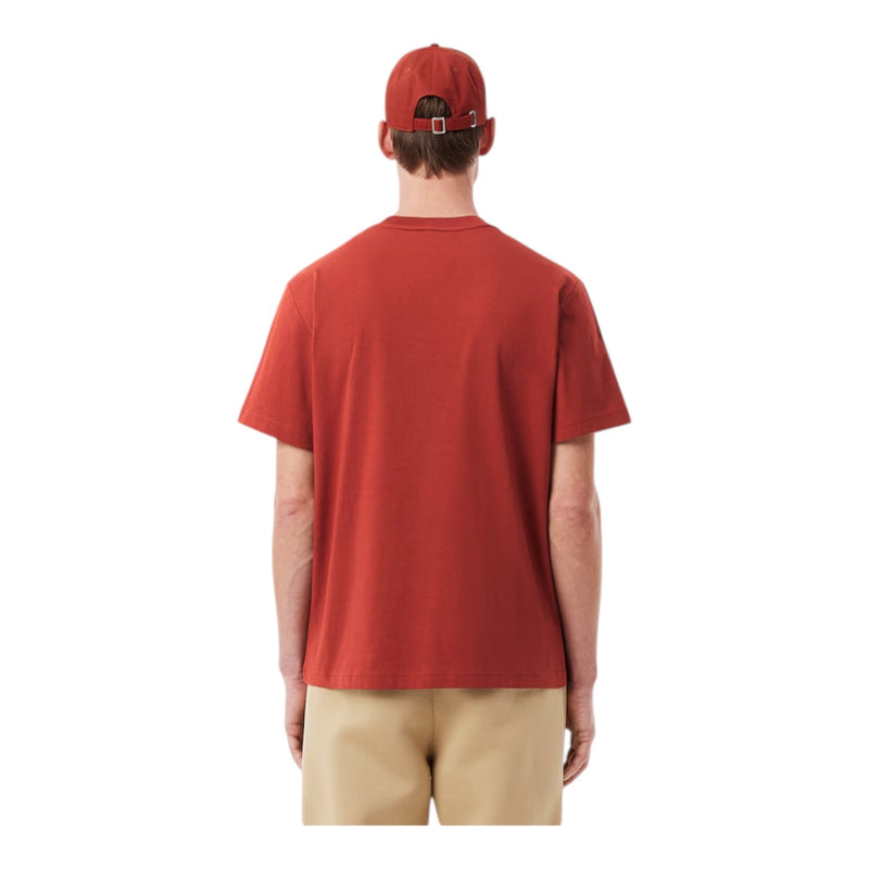 T-shirt Uomo Lacoste - T-Shirt - Marrone