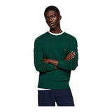 Maglie a manica lunga Uomo Tommy Hilfiger - Lambswool Crew Neck - Verde