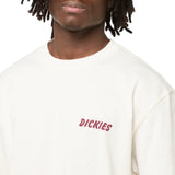 T-shirt Uomo Dickies - Dry Ridge Ss Tee Egret - Bianco