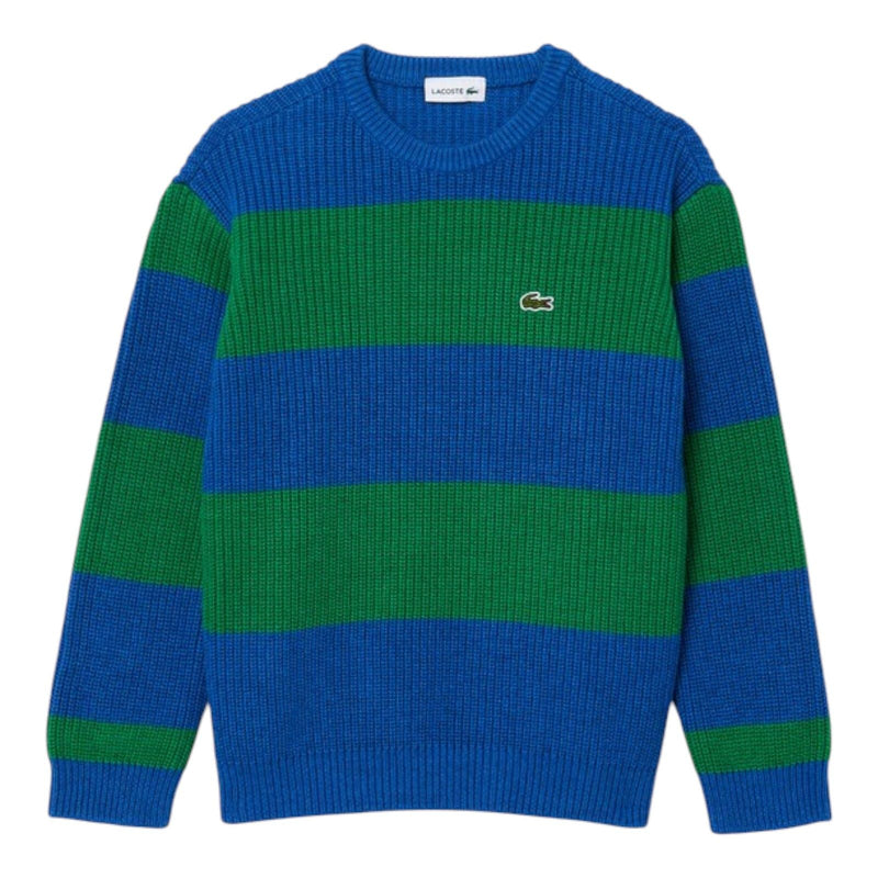 Maglioni Ragazzo Lacoste - Pullover - Multicolore