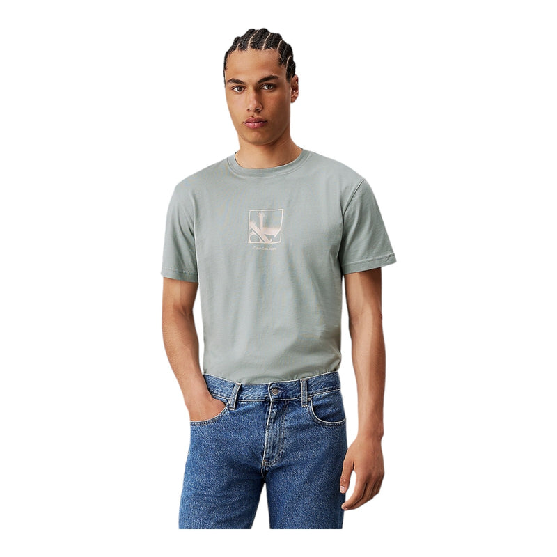 T-shirt Uomo Calvin Klein - Grid Box Tee - Grigio