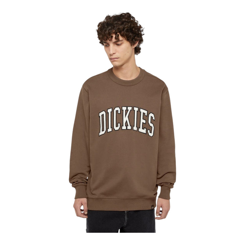 Felpe senza cappuccio Uomo Dickies - Aitkin Sweatshirt - Marrone