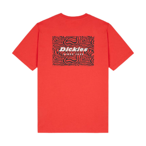 T-shirt Uomo Dickies - Leesburg Box Tee Ss - Arancione