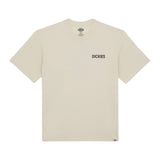 T-shirt Uomo Dickies - Beach Tee Ss Whitecap - Beige