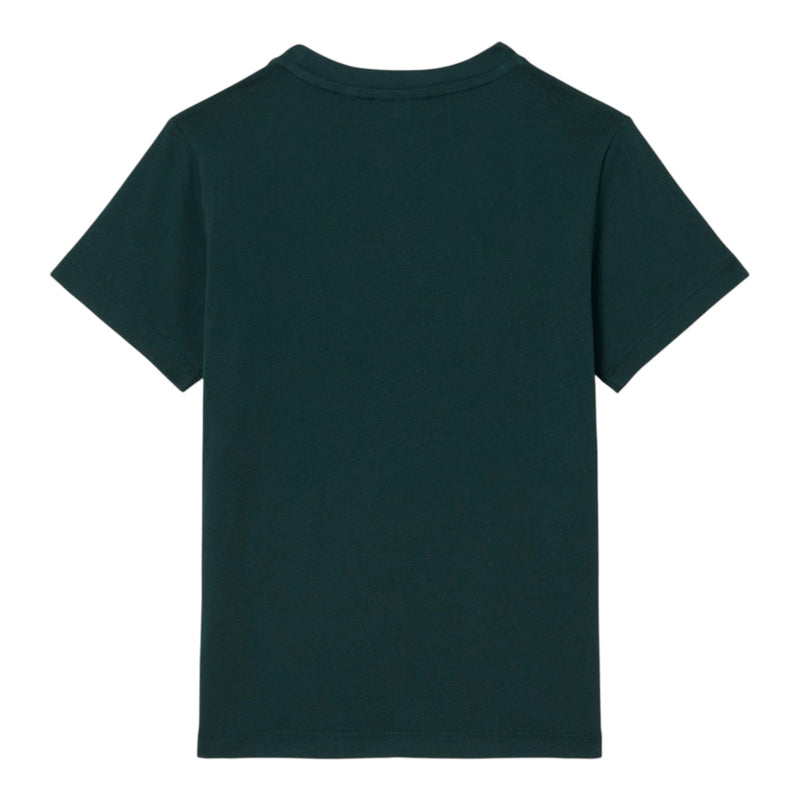 T-shirt Bambino Lacoste - Lcb Tiny Icon Tee - Verde