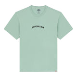 T-shirt Uomo Dickies - Dickies Snake Ss Tee - Menta