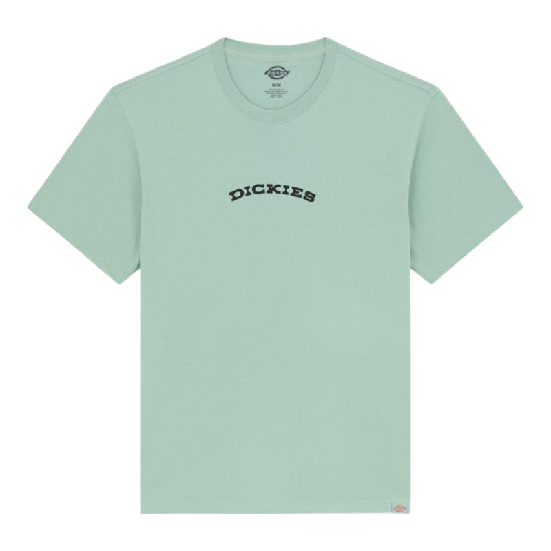 T-shirt Uomo Dickies - Dickies Snake Ss Tee - Menta