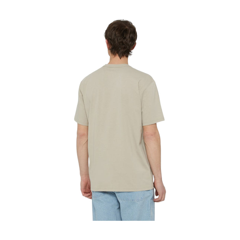 T-shirt Uomo Dickies - Aitkin Chest Tee Ss - Beige