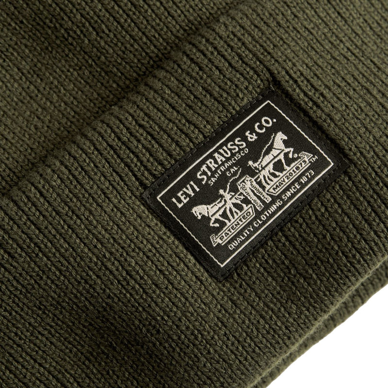 Baschi e berretti Uomo Levi's - Backpatch Beanie Bracken - Verde