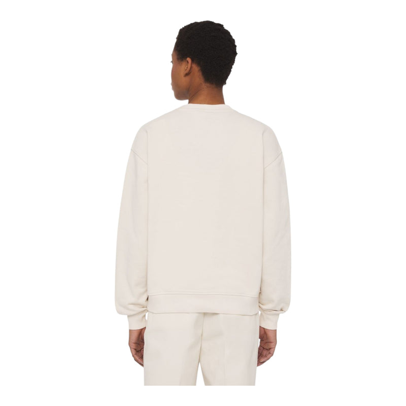 Felpe senza cappuccio Donna Dickies - Millersburg Sweatshirt Whitecap Gray - Panna
