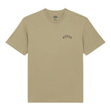 T-shirt Uomo Dickies - Dickies Panther Tee Ss - Verde