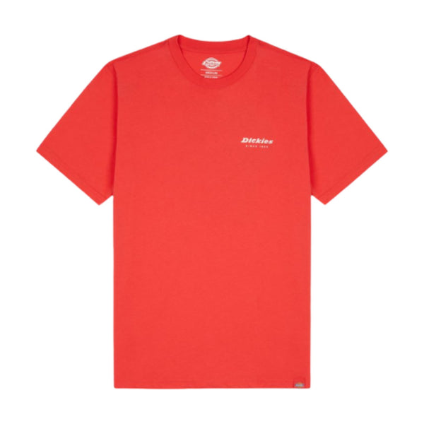 T-shirt Uomo Dickies - Leesburg Box Tee Ss - Arancione