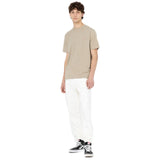 T-shirt Uomo Dickies - Ss Mapleton T-Shirt - Beige