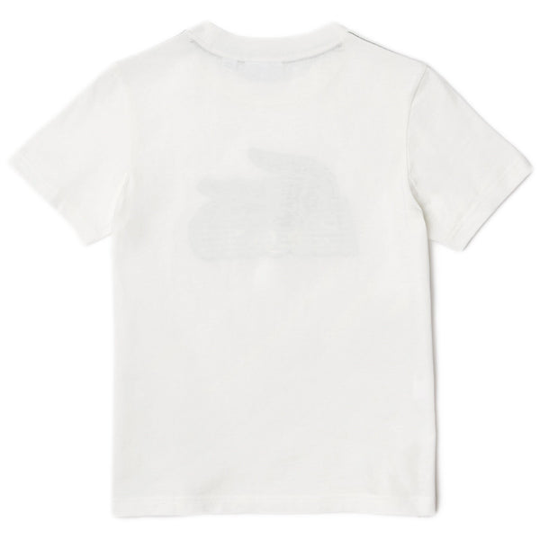 T-shirt Ragazzo Lacoste - T-Shirt - Panna