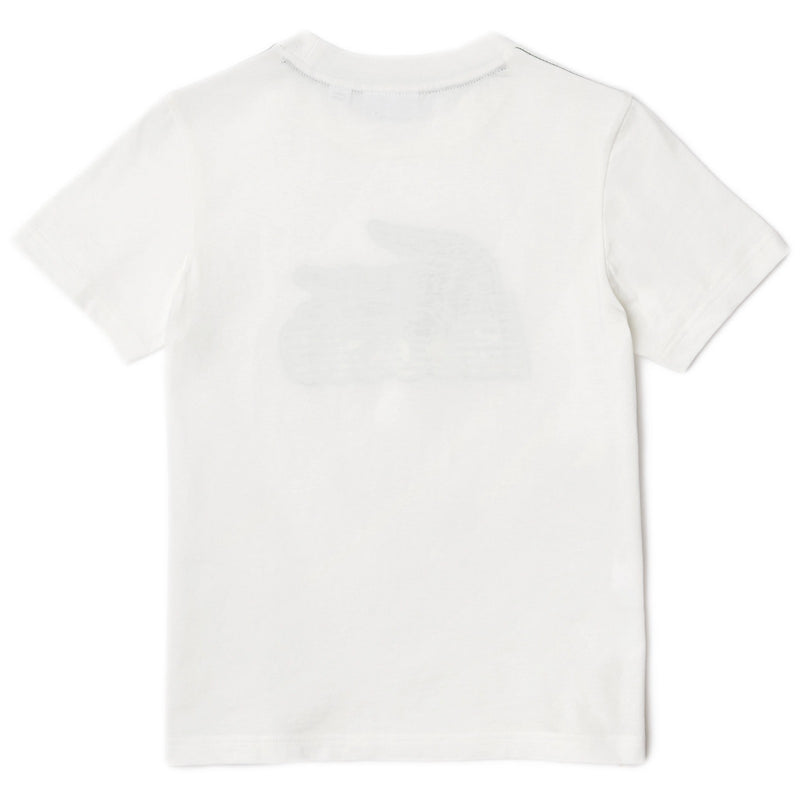 T-shirt Ragazzo Lacoste - T-Shirt - Panna